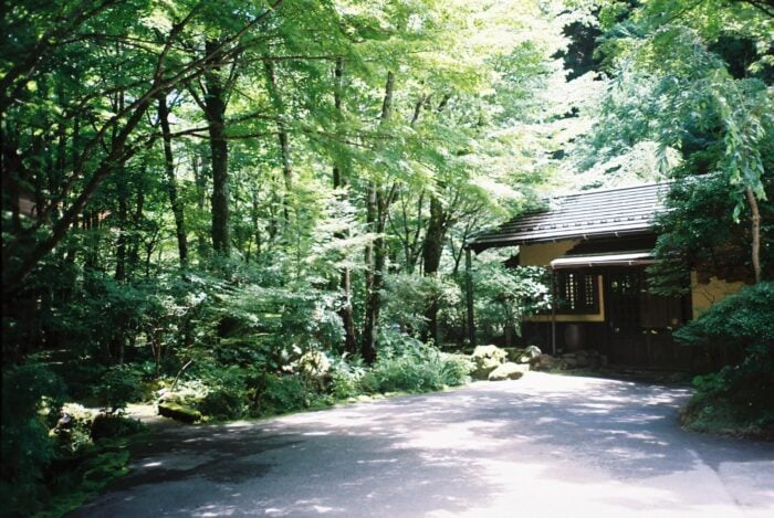 Nara 7th September 2024